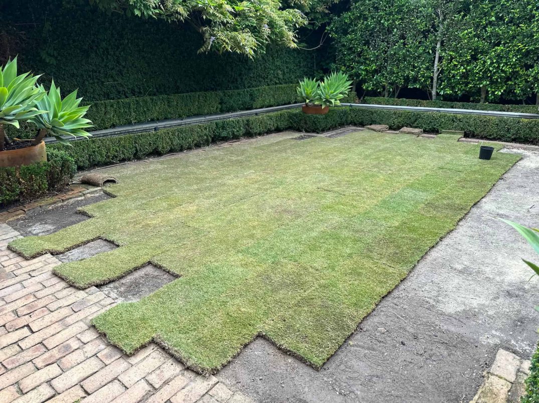 turfmanagement_elegancegarden