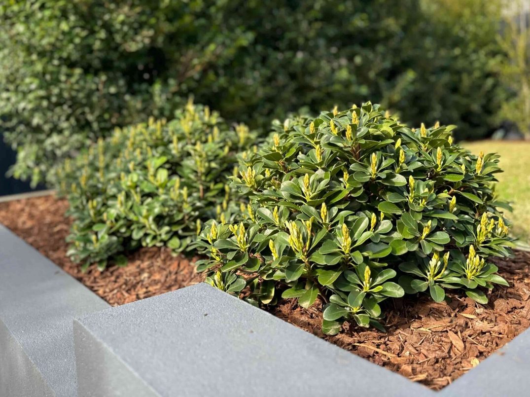 horticultural_services_elegancegarden