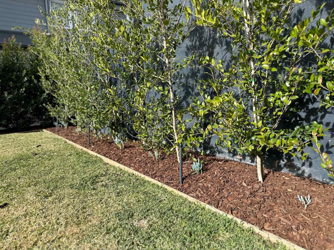 soil_preparation_elegancegarden